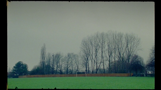 Video Reference: Sky, Atmosphere, Plant, Nature, Natural landscape, Tree, Rectangle, Grass, Wood, Woody plant