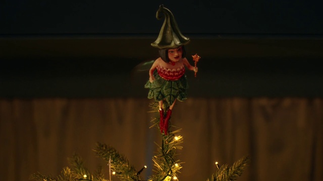 Video Reference: Plant, Toy, Christmas tree, Christmas ornament, Tree, Holiday ornament, Entertainment, Ornament, Hat, Evergreen