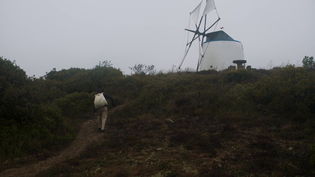 Video Reference: Sky, Plant community, Plant, Ecoregion, Windmill, Wind farm, Land lot, Grass, Natural landscape, Wind turbine