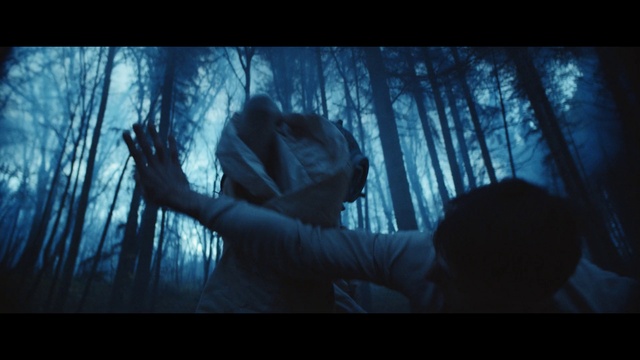 Video Reference: Plant, Tree, Flash photography, Gesture, People in nature, Wood, Tints and shades, Trunk, Electric blue, Darkness