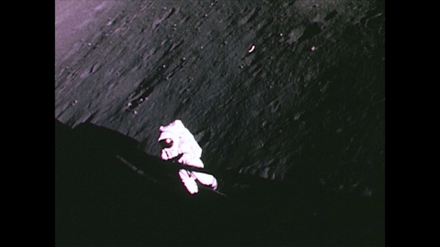 Video Reference: Water, Flash photography, Organism, Gesture, Petal, Font, Asphalt, Space, Rectangle, Grass