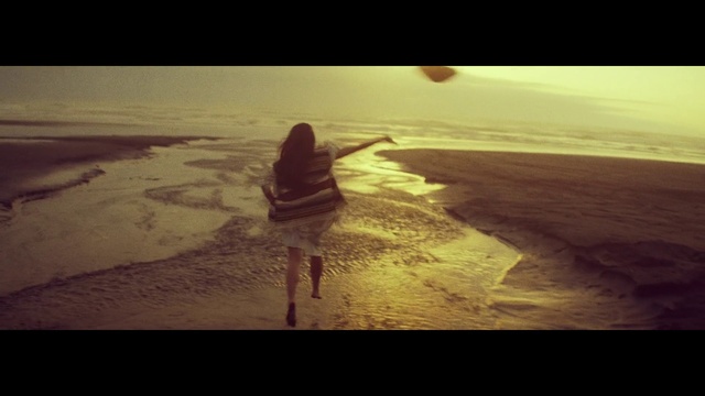 Video Reference: Water, Atmosphere, People in nature, Flash photography, Beach, Sunlight, Happy, Coastal and oceanic landforms, Horizon, Dusk