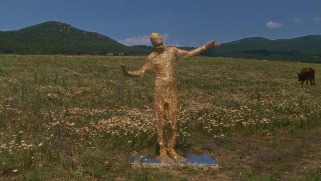 Video Reference: Sky, People in nature, Plant, Cloud, Natural landscape, Sculpture, Gesture, Happy, Grass, Wood