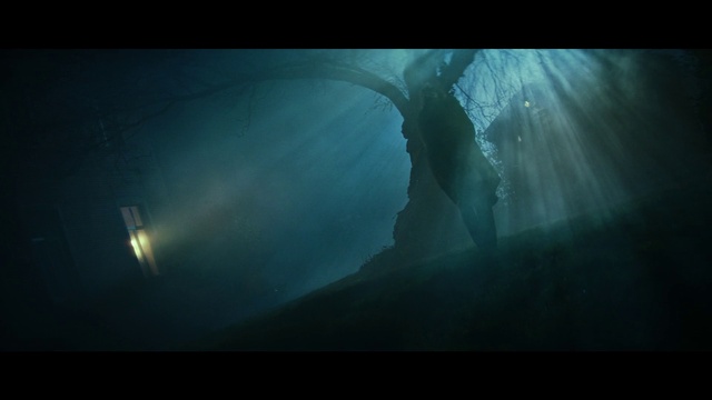 Video Reference: Atmosphere, Water, Underwater, Electric blue, Darkness, Fog, Landscape, Mist, Recreation, Lens flare