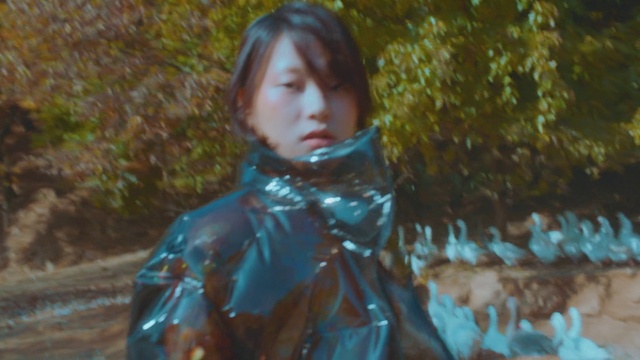 Video Reference: Plant, People in nature, Iris, Wood, Happy, Grass, Woody plant, Forest, Electric blue, Brown hair