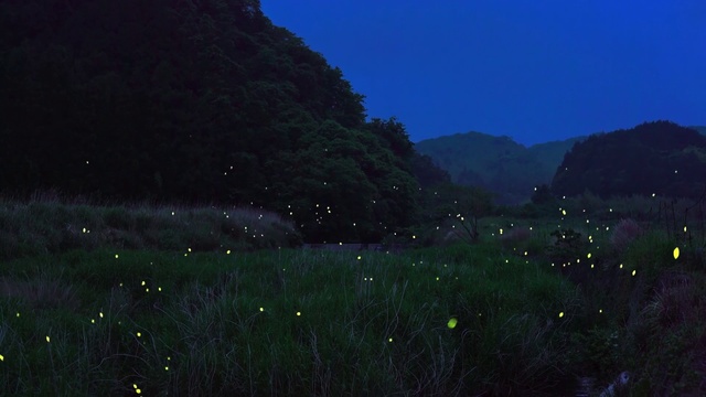 Video Reference: Plant, Mountain, Sky, Natural landscape, Slope, Grass, Grassland, Landscape, Meadow, Horizon