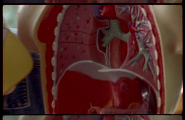 Video Reference: Automotive lighting, Tints and shades, Font, Magenta, Rectangle, Glass, Peach, Art, Ingredient, Visual arts