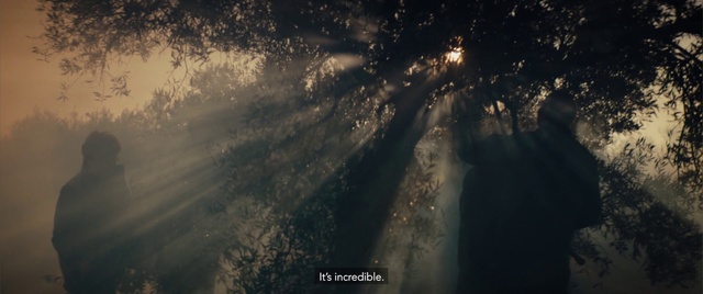 Video Reference: Plant, Cloud, Sky, Natural landscape, Landscape, Tree, Astronomical object, Space, Midnight, Forest
