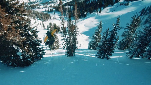 Video Reference: Snow, Mountain, Azure, Slope, Branch, Larch, Plant, Tree, Glacial landform, Freezing