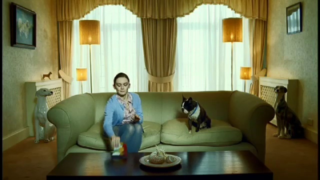 Video Reference: Table, Furniture, Dog, Property, Couch, Smile, Window, Comfort, Picture frame, Curtain