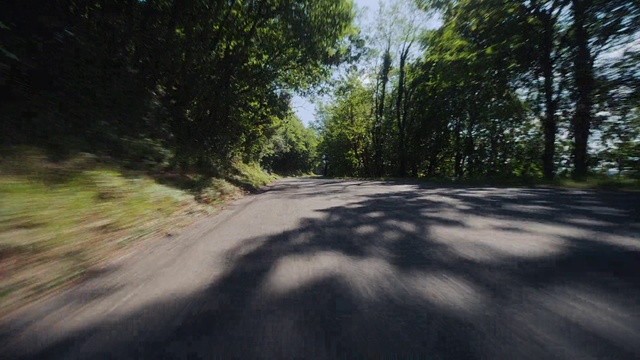 Video Reference: Sky, Ecoregion, Plant, Natural landscape, Road surface, Branch, Shade, Wood, Asphalt, Tree