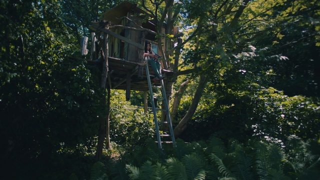 Video Reference: Plant, Branch, Tree, Trunk, Wood, Grass, Tints and shades, Twig, Leisure, Landscape