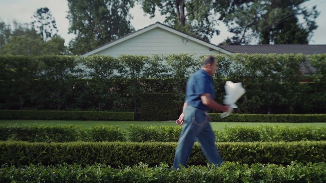 Video Reference: Plant, Building, Tree, People in nature, Gesture, Land lot, House, Grass, Sky, Hedge