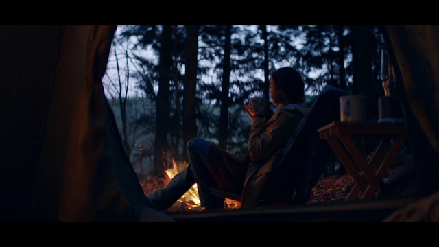 Video Reference: Flash photography, Tree, Wood, Branch, Woody plant, Heat, Tints and shades, Forest, Midnight, Trunk