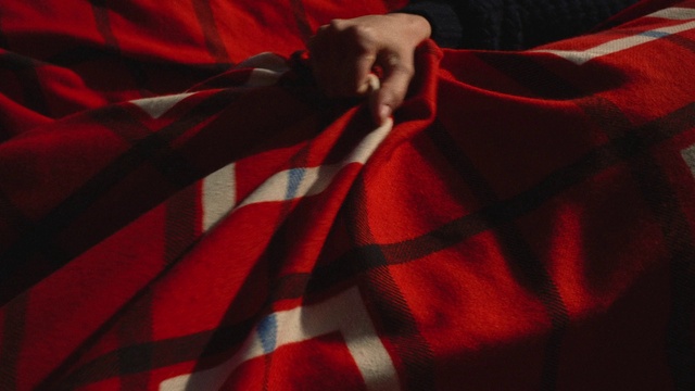 Video Reference: Outerwear, Sleeve, Orange, Gesture, Flag, Grey, Collar, Red, Tints and shades, Sportswear