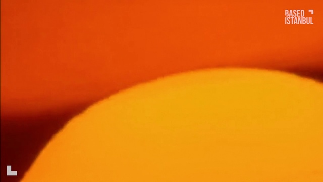 Video Reference: Colorfulness, Orange, Amber, Astronomical object, Circle, Close-up, Peach, Macro photography, Sun, Petal