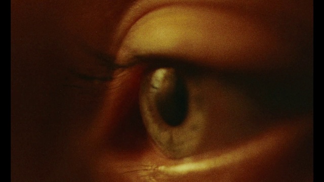 Video Reference: Nose, Brown, Eyebrow, Eyelash, Iris, Art, Wood, Painting, Tints and shades, Macro photography