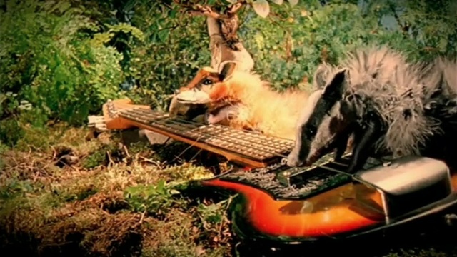 Video Reference: Plant, Plant community, Organism, Biome, Fawn, Landscape, Tree, Tire, Adaptation, Grass