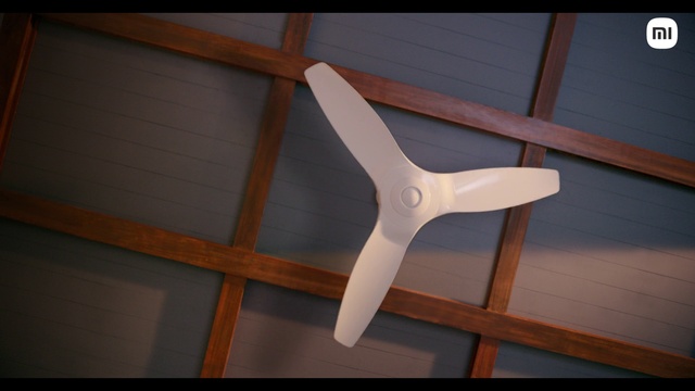 Video Reference: Wood, Hardwood, Wood stain, Tints and shades, Composite material, Symmetry, Plywood, Pattern, Ceiling, Event