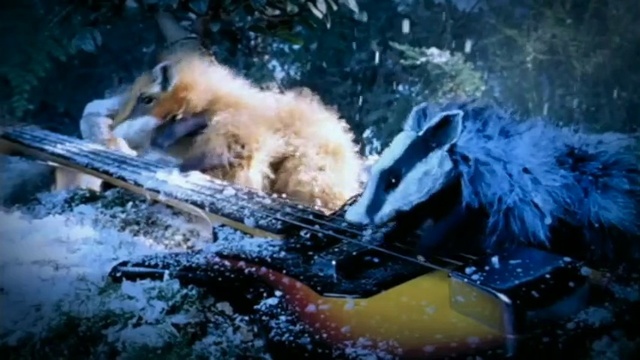 Video Reference: Dog, Carnivore, Organism, Dog breed, Fawn, Companion dog, Snow, Winter, Sporting Group, Wildlife