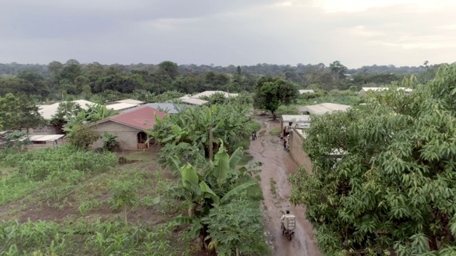 Video Reference: Plant, Sky, Cloud, Plant community, Tree, Land lot, Vegetation, Landscape, Arecales, Natural landscape