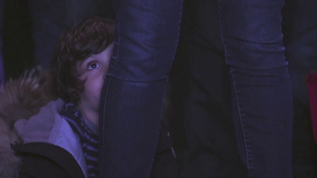 Video Reference: Plant, Flash photography, Gesture, Microphone, Electric blue, Darkness, Entertainment, Event, Tree, Midnight