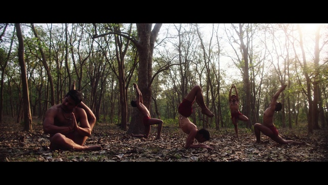 Video Reference: Plant community, Plant, People in nature, Tree, Wood, Trunk, Natural landscape, Happy, Terrestrial plant, Grass