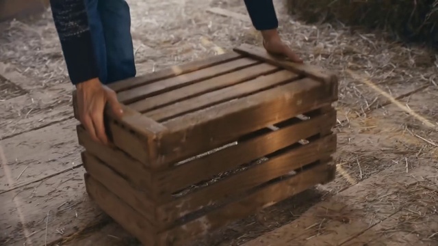 Video Reference: Wood, Hardwood, Flooring, Wood stain, Trunk, Tree, Brick, Rectangle, Plank, Soil