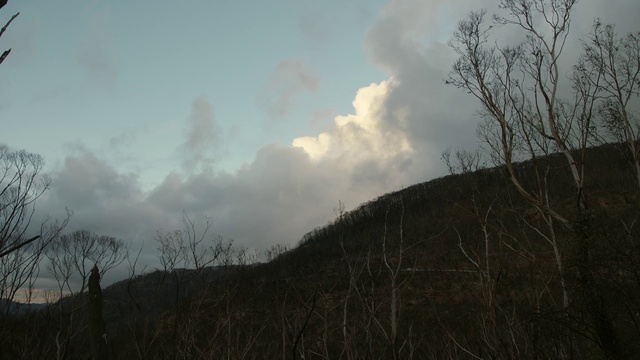 Video Reference: Cloud, Sky, Atmosphere, Plant, Natural landscape, Mountain, Twig, Atmospheric phenomenon, Grass, Cumulus