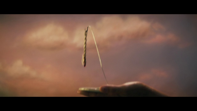 Video Reference: Sky, Atmosphere, Cloud, Twig, Liquid, Natural landscape, Landscape, Horizon, Macro photography, Heat