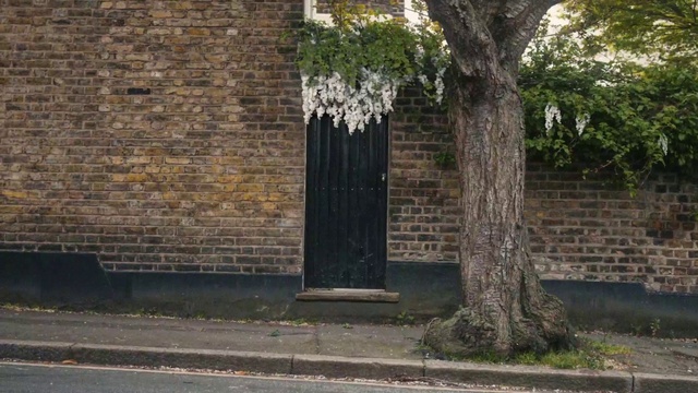 Video Reference: Plant, Wood, Road surface, Door, Tree, Building, Grass, Stone wall, Twig, Tints and shades