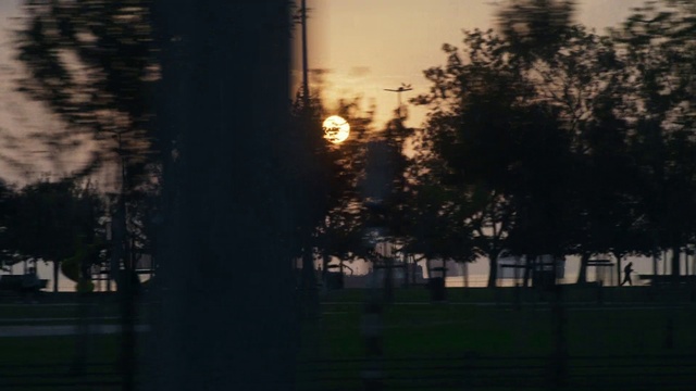 Video Reference: Atmosphere, Plant, Branch, Dusk, Tree, Sunlight, Atmospheric phenomenon, Sunset, Sky, Woody plant