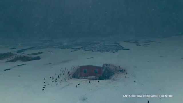 Video Reference: Snow, Slope, Ice cap, Water, Freezing, Glacial landform, Sky, Landscape, Winter, Event