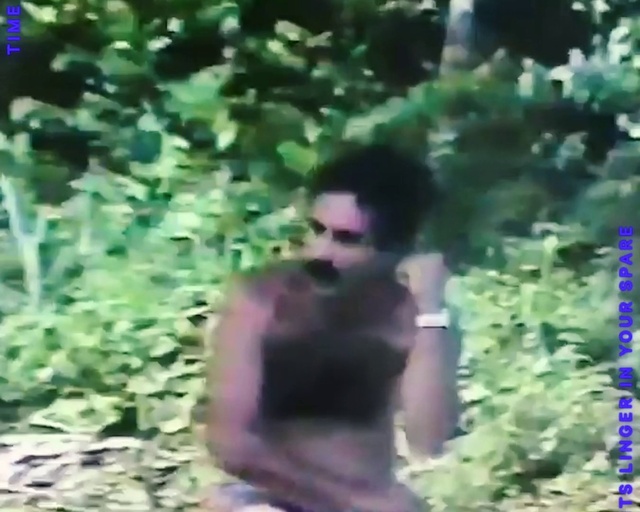 Video Reference: Plant, People in nature, Sunglasses, Grass, Terrestrial plant, Groundcover, Shrub, Hat, Forest, Tree