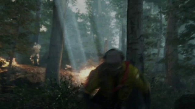 Video Reference: Plant, Terrestrial plant, Wood, Natural landscape, Trunk, Tree, People in nature, Forest, Smoke, Recreation