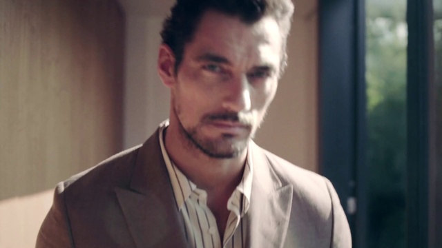 Video Reference: Forehead, Hair, Nose, Eyebrow, Beard, Dress shirt, Flash photography, Jaw, Neck, Sleeve