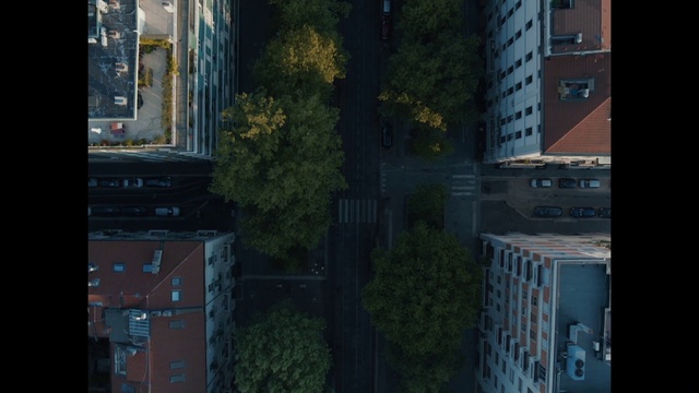 Video Reference: Property, Building, Window, Tower block, Architecture, Plant, Urban design, Biome, Wall, City