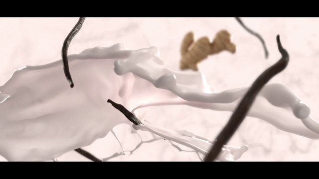 Video Reference: Plant, Petal, Flower, Twig, Gesture, Art, Tints and shades, Wood, Font, Flowering plant