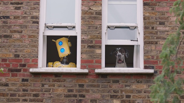 Video Reference: Window, Daytime, Property, Vertebrate, Wood, Rectangle, Brick, Brickwork, Building, Mammal