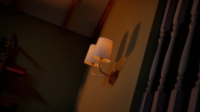 Video Reference: Amber, Wood, Lamp, Electricity, Material property, Tints and shades, Facial hair, Wood stain, Ceiling, Flooring