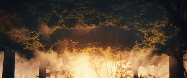 Video Reference: Atmosphere, Cloud, Natural landscape, Plant, Wood, Tree, Atmospheric phenomenon, Fire, Grass, Landscape
