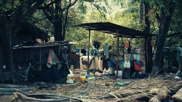 Video Reference: Motor vehicle, Tree, Plant, Tarpaulin, Tent, Shade, Wood, Morning, Adaptation, Pollution