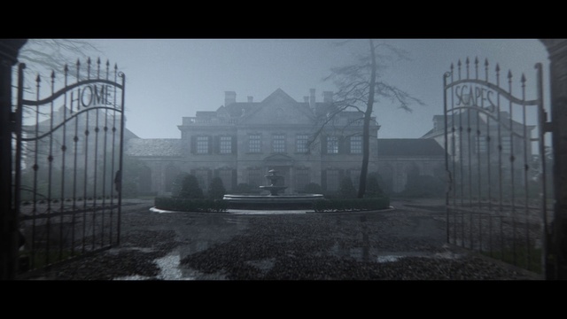 Video Reference: Atmosphere, Plant, Building, Window, Grey, Fog, Style, Tree, Black-and-white, Atmospheric phenomenon