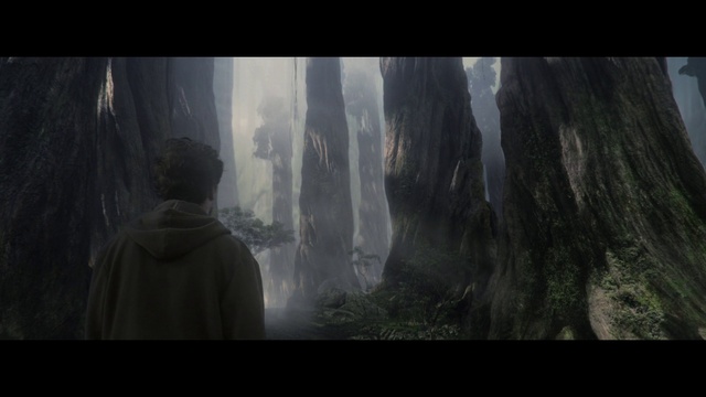 Video Reference: Atmosphere, Sunlight, Atmospheric phenomenon, Fog, Landscape, Forest, Natural landscape, Formation, Plant, Sky