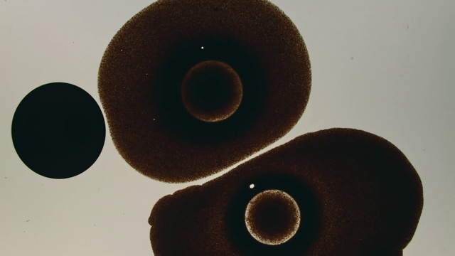 Video Reference: Automotive tire, Wood, Audio equipment, Circle, Gas, Auto part, Metal, Art, Automotive wheel system, Sculpture