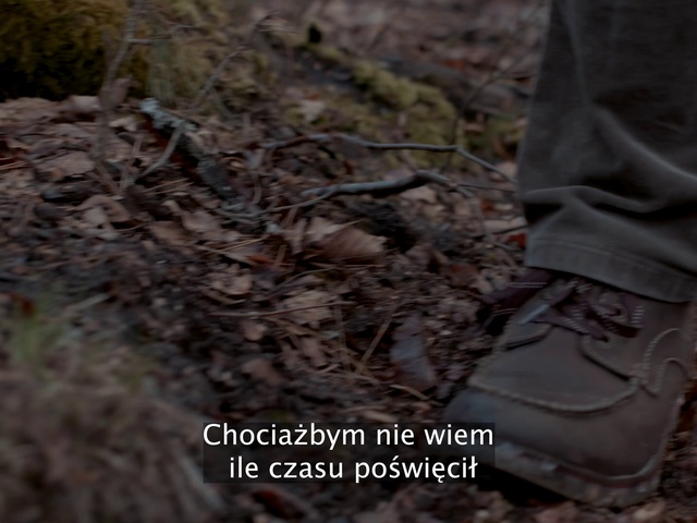 Video Reference: Plant, Grass, Twig, Terrestrial plant, Wood, Automotive tire, Groundcover, Human leg, Soil, Outdoor shoe