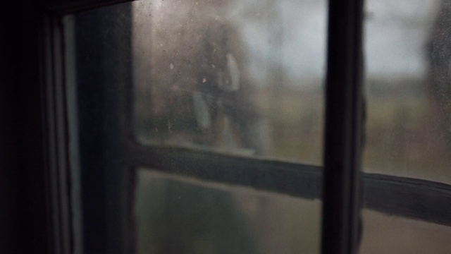 Video Reference: Window, Wood, Tree, Tints and shades, Automotive exterior, Auto part, Glass, Automotive window part, Vehicle door, Transparency