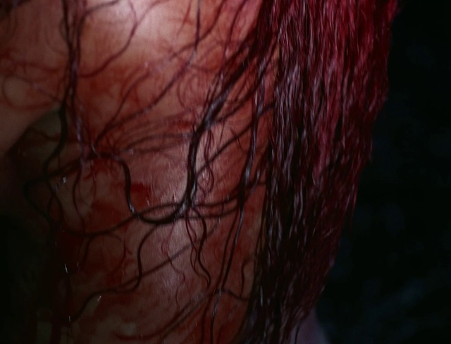 Video Reference: Eyelash, Neck, Liver, Electric blue, Wood, Brown hair, Darkness, Twig, Flesh, Magenta