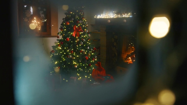 Video Reference: Christmas tree, Christmas ornament, Light, Holiday ornament, Branch, Lighting, Ornament, Larch, Evergreen, Christmas decoration