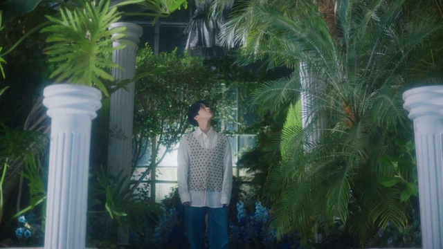 Video Reference: Plant, Botany, Green, Leaf, Terrestrial plant, Vegetation, Arecales, Woody plant, Leisure, Grass